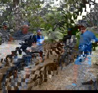 Fully guided E-Mountain Bike Tour on the beautiful Mornington Peninsula. - Accommodation in Bendigo