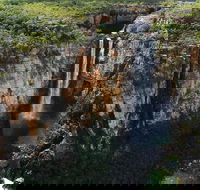 7 Days Darwin Kakadu National Park Katherine Gorge Touring Package - Accommodation in Bendigo