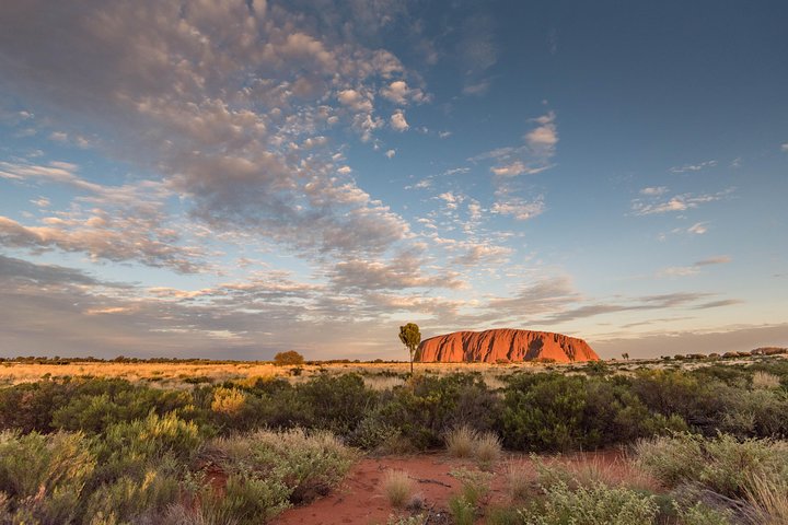  Accommodation in Bendigo