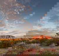 Uluru Kata Tjuta and Kings Canyon Camping Safari from Alice Springs - Accommodation in Bendigo