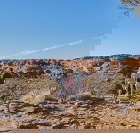 The Amazing Kings Canyon 4-Hours Walking Tour and Hike - Accommodation in Bendigo