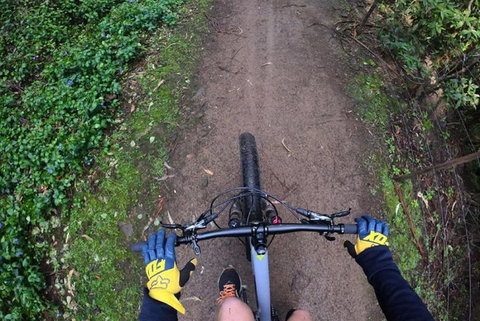Explore Downhill Mountain In 3-Hour Bike Tour From Hobart - Accommodation in Bendigo 2