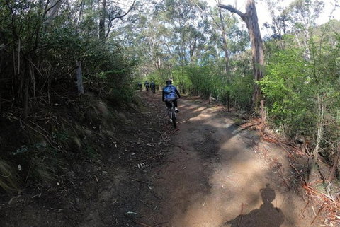 Explore Downhill Mountain In 3-Hour Bike Tour From Hobart - Accommodation in Bendigo 3