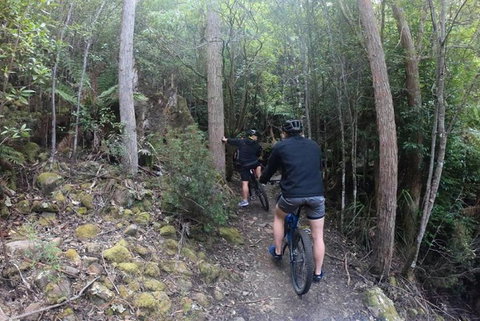 Explore Downhill Mountain In 3-Hour Bike Tour From Hobart - Accommodation in Bendigo 4