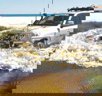 Full-Day Moreton Island 4x4 Sightseeing Tour - Accommodation in Bendigo