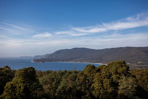 Port Arthur And Tassie Devils Active Day Tour From Hobart - Accommodation in Bendigo 5