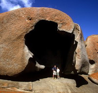 Full-Day Kangaroo Island Safari from Penneshaw - Accommodation in Bendigo