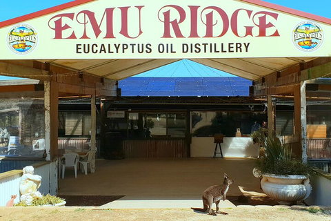 2-Day Kangaroo Island Safari From Adelaide - Accommodation in Bendigo 4