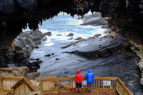 2-Day Kangaroo Island Safari From Adelaide - Accommodation in Bendigo 5