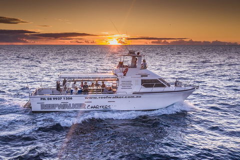 Kalbarri Sunset Coastal Cliff Cruise - Accommodation in Bendigo 2