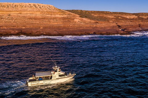 Kalbarri Sunset Coastal Cliff Cruise - Accommodation in Bendigo 4