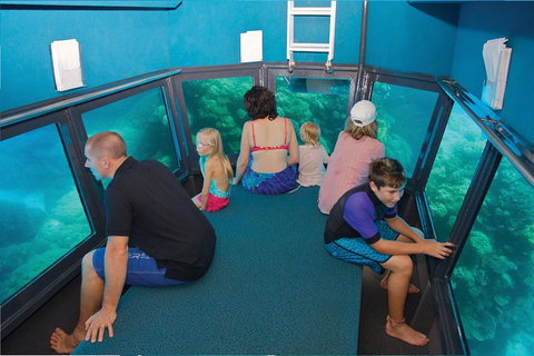 Great Barrier Reef Adventure From Cairns - Accommodation in Bendigo 1