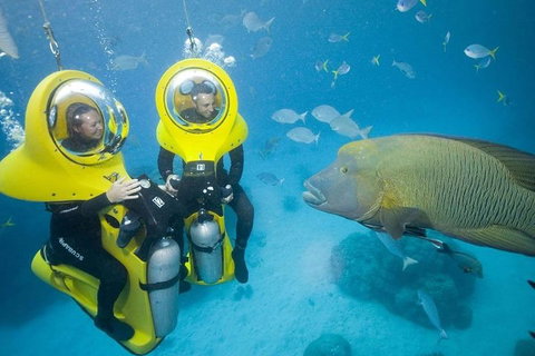 Great Barrier Reef Adventure From Cairns - Accommodation in Bendigo 2