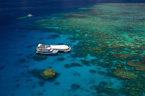 Great Barrier Reef Adventure From Cairns - Accommodation in Bendigo 4