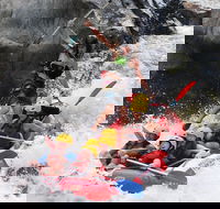 Barron Gorge National Park Half-Day White Water Rafting from Cairns or Port Douglas - Accommodation in Bendigo