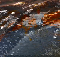 One Day Litchfield Park Adventures - Accommodation in Bendigo