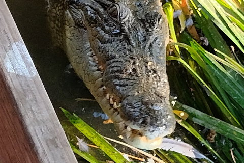 Litchfield Park Adventures And Jumping Crocodile Cruise + Butterfly Farm - Accommodation in Bendigo 1