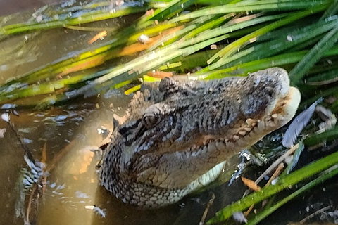 Litchfield Park Adventures And Jumping Crocodile Cruise + Butterfly Farm - Accommodation in Bendigo 4