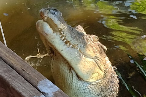 Litchfield Park Adventures And Jumping Crocodile Cruise + Butterfly Farm - Accommodation in Bendigo 5
