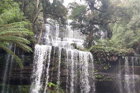 6-Day Hearty Tasmania Tour (Tasmania In A Circle) - Accommodation in Bendigo 0