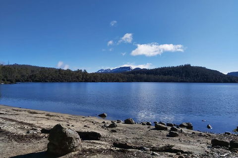 6-Day Hearty Tasmania Tour (Tasmania In A Circle) - Accommodation in Bendigo 1
