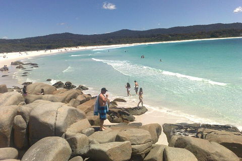 6-Day Hearty Tasmania Tour (Tasmania In A Circle) - Accommodation in Bendigo 3