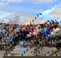 Sydney Bike Tours - Accommodation in Bendigo