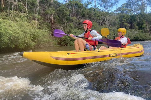 Yarra River Half-Day Rafting Experience - Accommodation in Bendigo 1