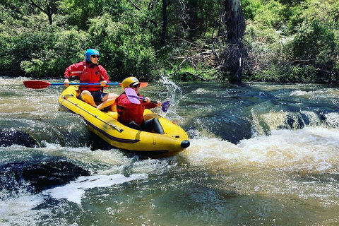 Yarra River Half-Day Rafting Experience - Accommodation in Bendigo 4