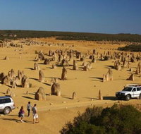 1-Day Pinnacles and Yanchep Tour from Perth including Fish and Chips Lunch
