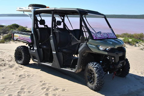Pink Lake Small-Group Buggy Tour - Accommodation in Bendigo 1