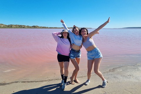 Pink Lake Small-Group Buggy Tour - Accommodation in Bendigo 3