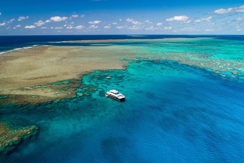 Calypso Outer Great Barrier Reef Cruise From Port Douglas - Accommodation in Bendigo 1