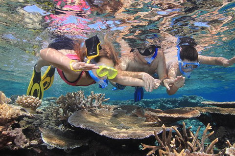 Calypso Outer Great Barrier Reef Cruise From Port Douglas - Accommodation in Bendigo 3