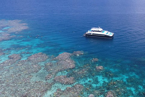 Calypso Outer Great Barrier Reef Cruise From Port Douglas - Accommodation in Bendigo 4