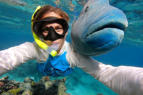 Calypso Outer Great Barrier Reef Cruise From Port Douglas - Accommodation in Bendigo 5