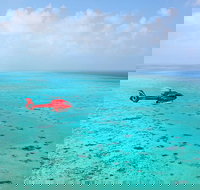 Port Douglas Scenic Flights - Accommodation in Bendigo