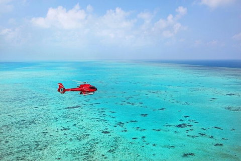 Ultimate Great Barrier Reef And Rainforest 45-minute Helicopter Tour - Accommodation in Bendigo 2