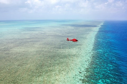 Ultimate Great Barrier Reef And Rainforest 45-minute Helicopter Tour - Accommodation in Bendigo 5