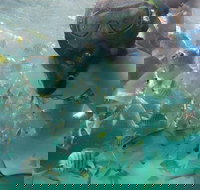 2-Day Moreton Island 4WD Camping Tour from Brisbane - Accommodation in Bendigo