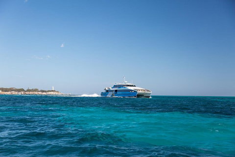 Fremantle To Rottnest Island Roundtrip Ferry Ticket - Accommodation in Bendigo 5