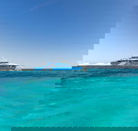 Rottnest Island Bayseeker Day Trip from Perth - Accommodation in Bendigo
