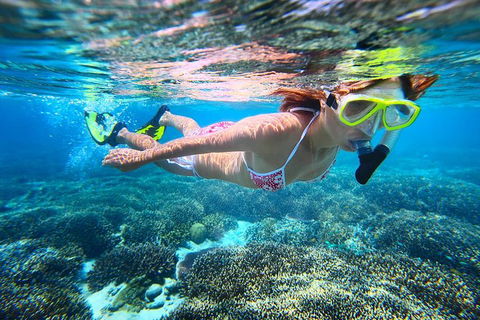 Abrolhos Islands Scenic Flight & Snorkel Adventure From Perth - Accommodation in Bendigo 1