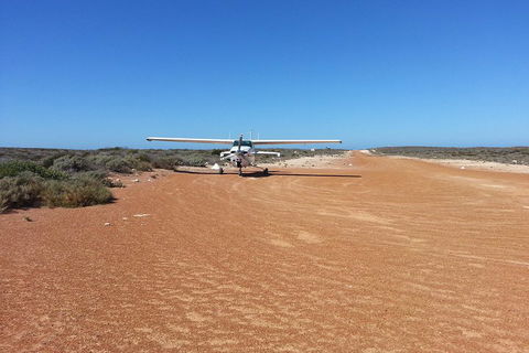 Abrolhos Islands Scenic Flight & Snorkel Adventure From Perth - Accommodation in Bendigo 3