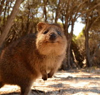 Pinnacles  Rottnest Island Scenic Air  Ground Tour