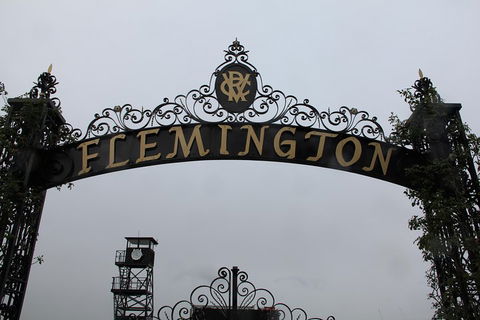 Half-Day Sports Lovers Bus Tour Of Melbourne With Tour Options - Accommodation in Bendigo 3