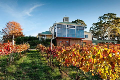 Adelaide Hills Food, Wine, Cheese, & Chocolate - Private Day Tour - Accommodation in Bendigo 3