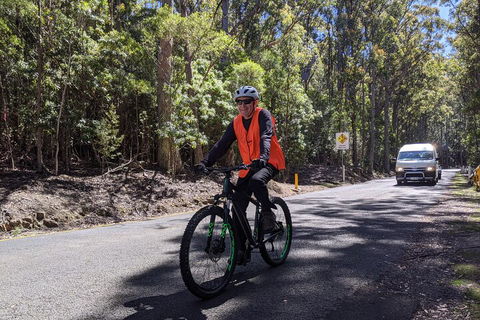 Mount Wellington Descent Cycling Tour Departs Hobart - Accommodation in Bendigo 3
