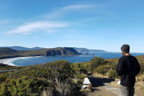 Small-Group Day Trip From Hobart To Bruny Island - Accommodation in Bendigo 0