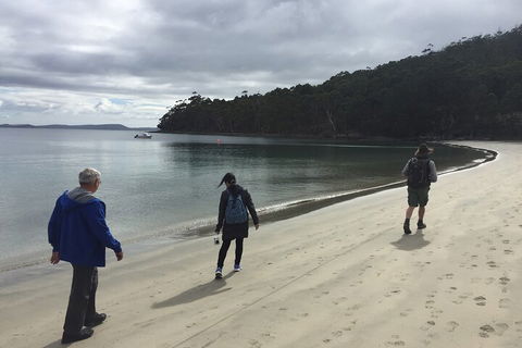 Small-Group Day Trip From Hobart To Bruny Island - Accommodation in Bendigo 1